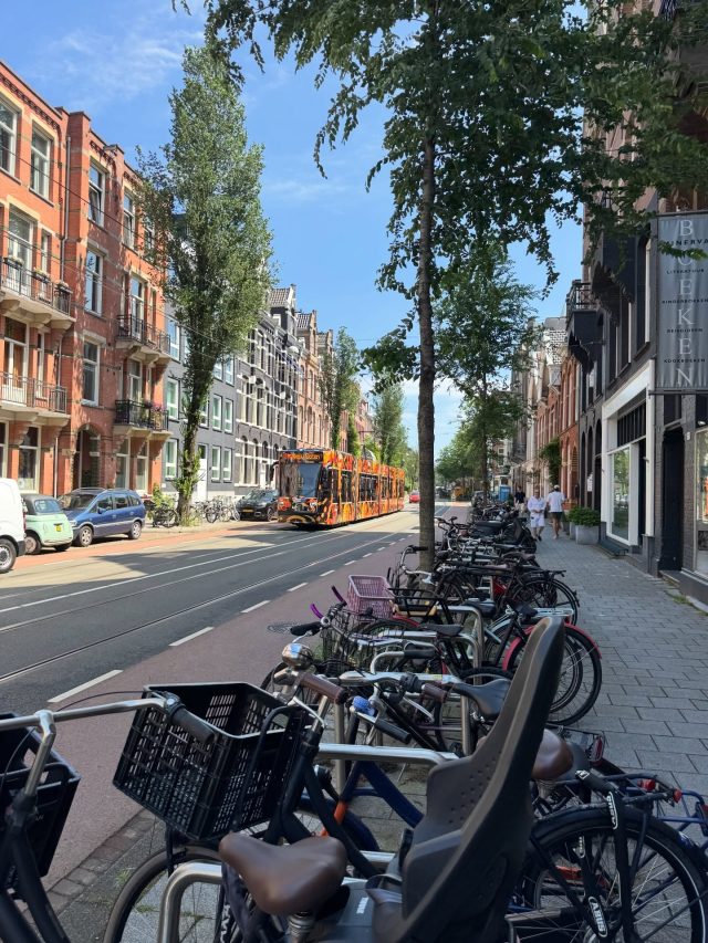 I forgot how nice Amsterdam is in the summertime. Took a long walk from the south west of the city all the way to the Rijksmuseum, it’s definitely not all coffee shops and sex workers... Lots of shady, leafy residential streets dappled in sunlight. Bicycles, young people swimming in the canals. Apartments with shared hallways radiating warmth and interesting smells as one walks past, neighbours greeting each other as they emerge blinking into the sunshine. Architecture untouched by the ravages of WW2. Moving, timeless art, cafe culture and fusion food, the grittiness of Centraal station contrasting the efficiency of the Dutch railway system. Surprisingly low numbers of lager louts (at least during the day), just people of all ages, races, nationalities enjoying this diverse and relaxed city. Now onto Heidelberg for a conference. Yay.